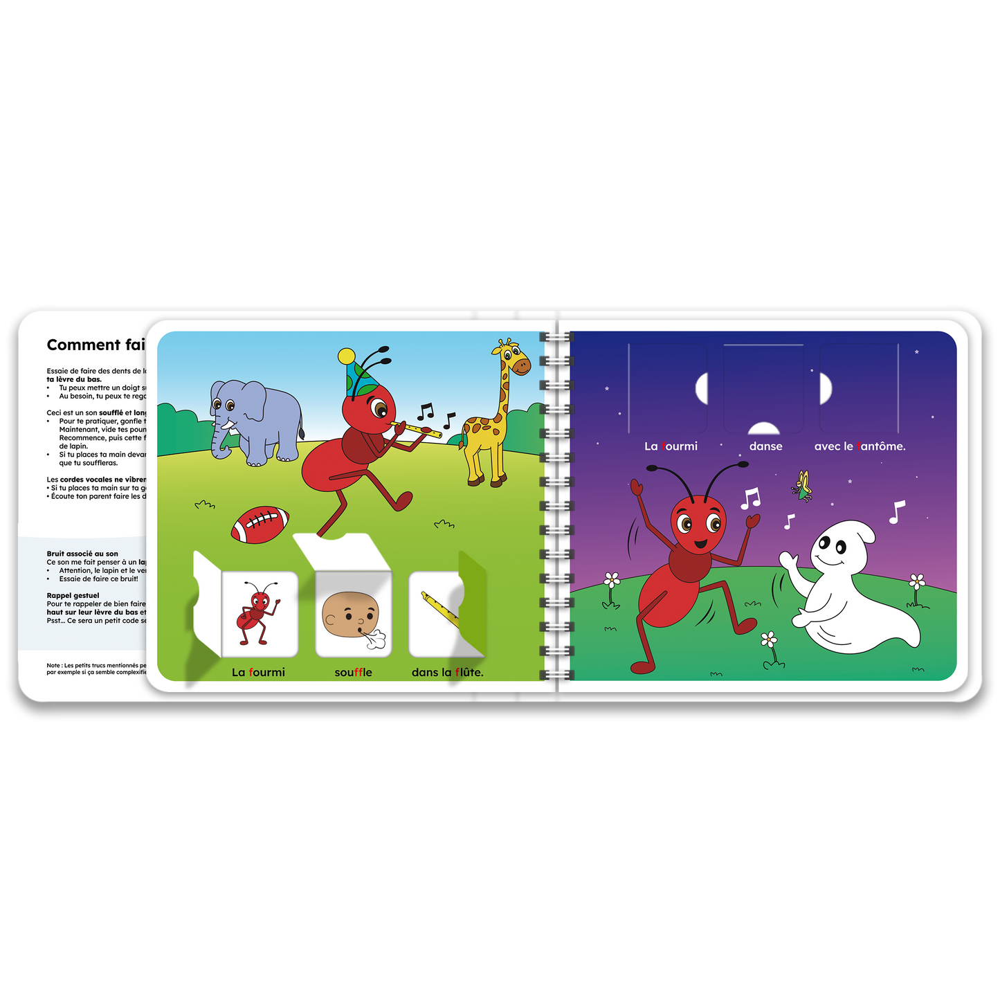 Pages intérieures du livre à rabats avec la fourmi, inclus dans le coffret