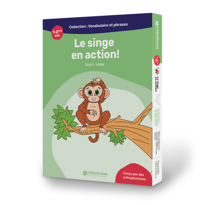 Boîte du livre magnétique « Le singe en action ! »